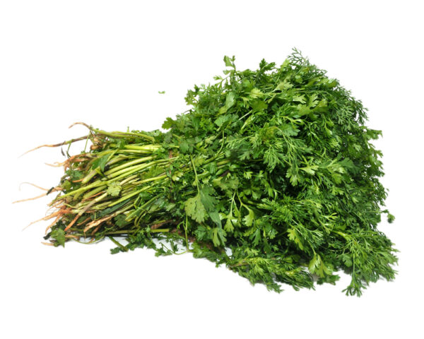 Coriander Leaves (1 bunch)